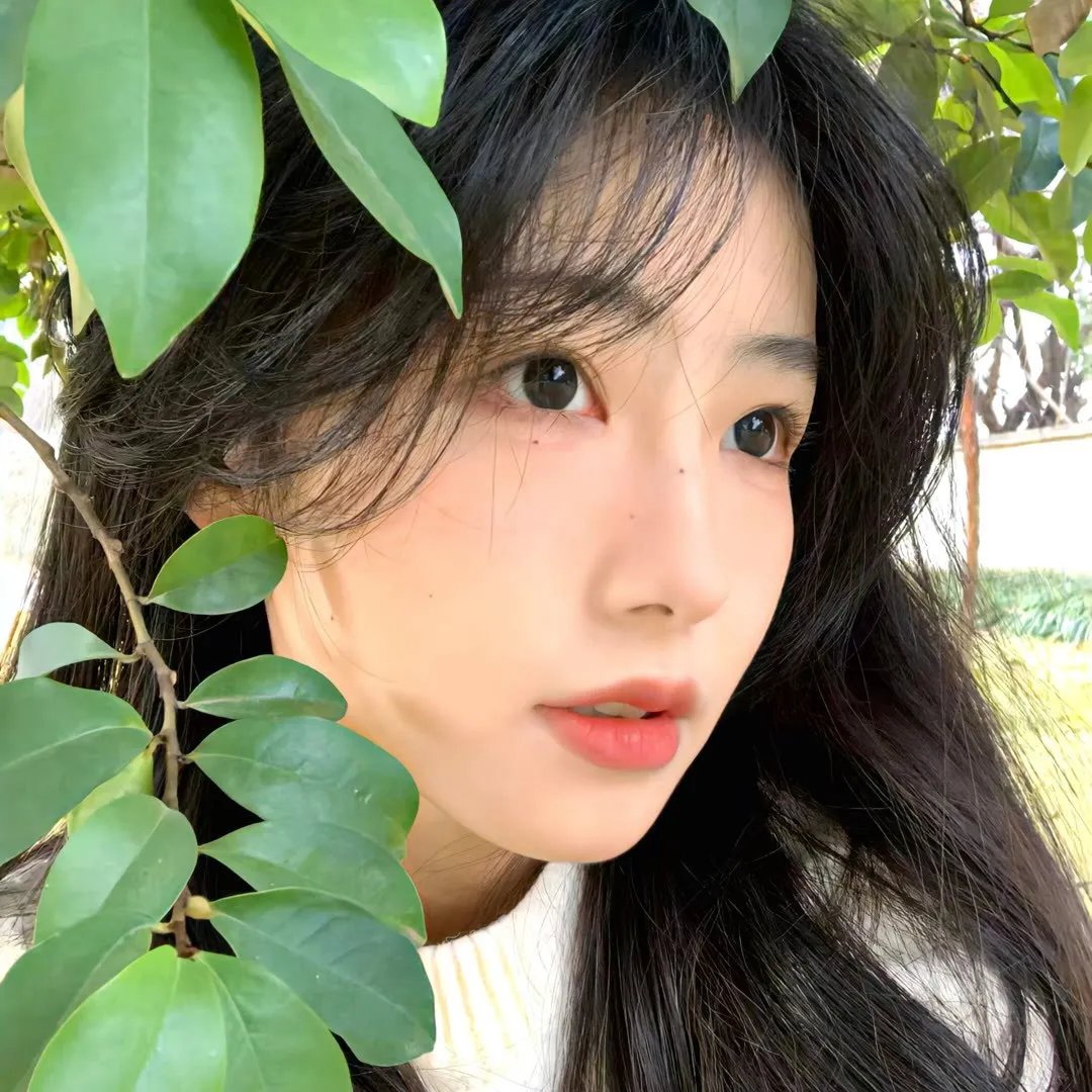 野探哈莉第四季