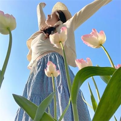 红槐花